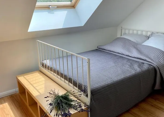 Apartment Familienfreundlichen Mit Traumhaft Gruener Aussicht *